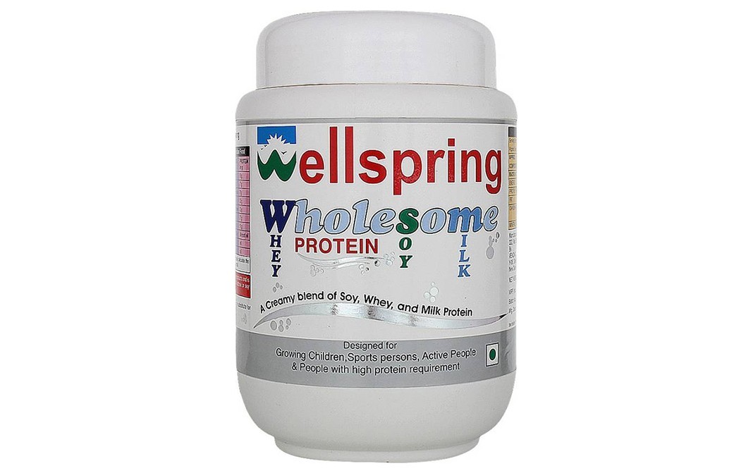 Wellspring Wholesome Whey Protein Soy Milk   Plastic Jar  600 grams